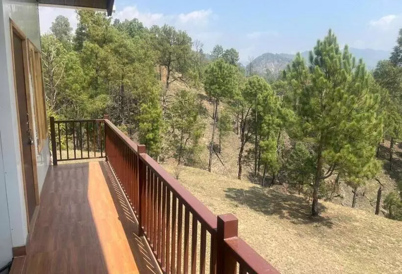 تختخواب و صبحانه Reys Cafe And Boutique Cottage   A Jungle Stay