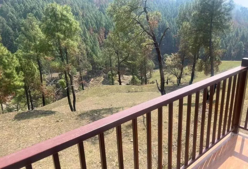 تختخواب و صبحانه Reys Cafe And Boutique Cottage   A Jungle Stay