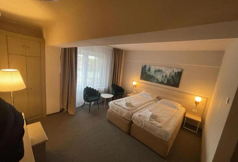 هتل Bacolux Santis, Covasna