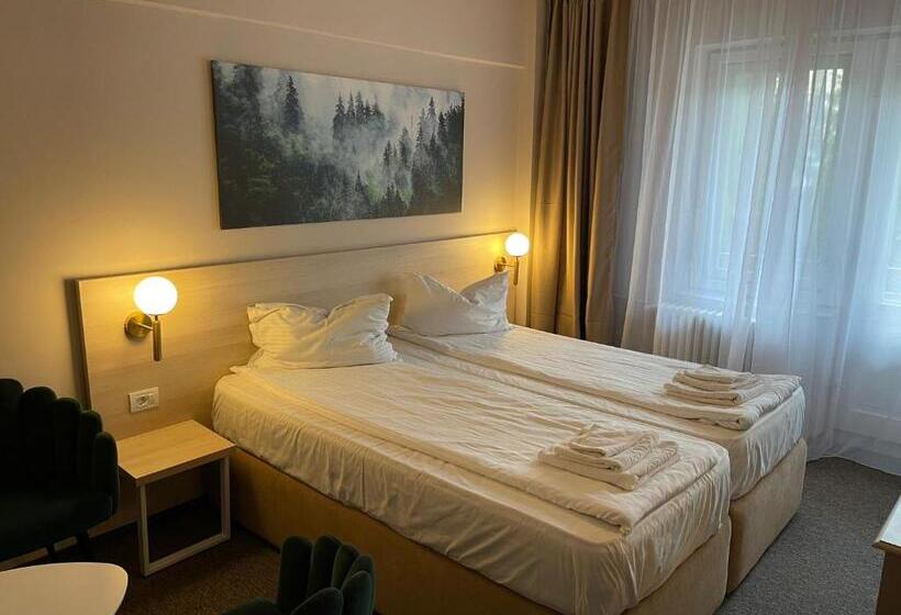 هتل Bacolux Santis, Covasna