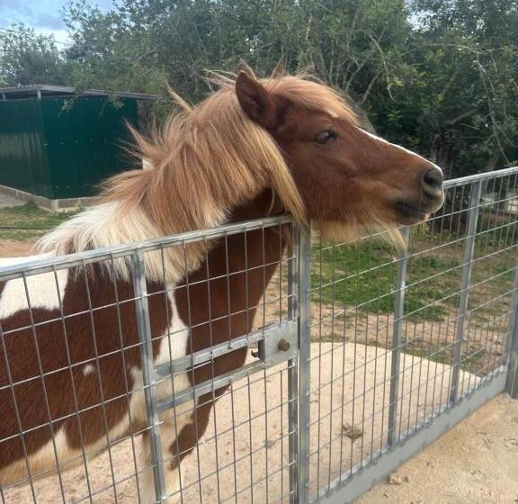 هتل La Quinta Da Liberdade Ferme De Charme En Algarve
