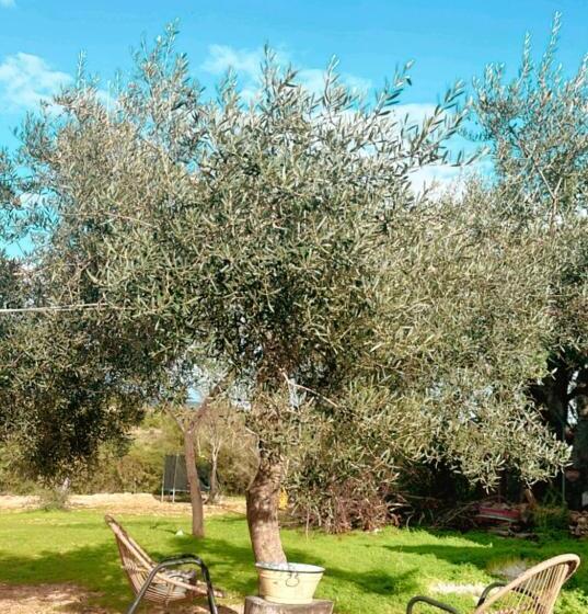 هتل La Quinta Da Liberdade Ferme De Charme En Algarve