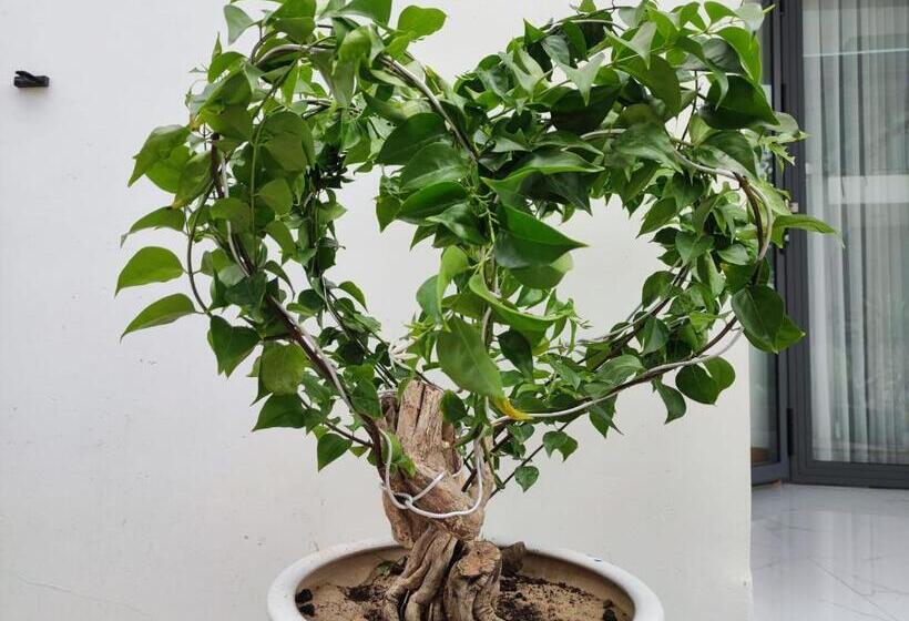 هتل New Wave Homestay