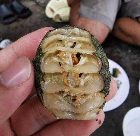 هتل New Wave Homestay