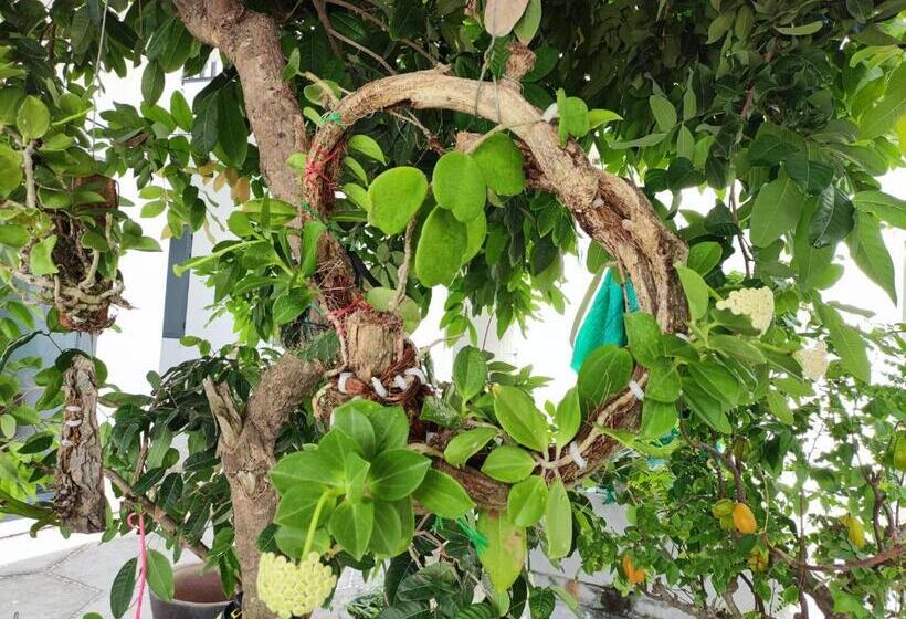 هتل New Wave Homestay