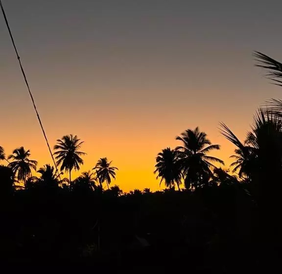 پانسیون Stay In Woods