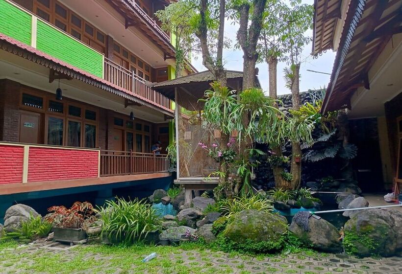 Bed and Breakfast Java Capsule