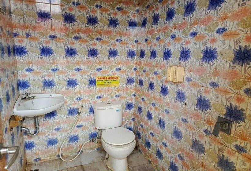 Bed and Breakfast Java Capsule