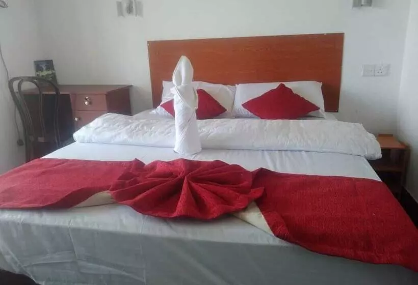 T More Hotel & Hostel