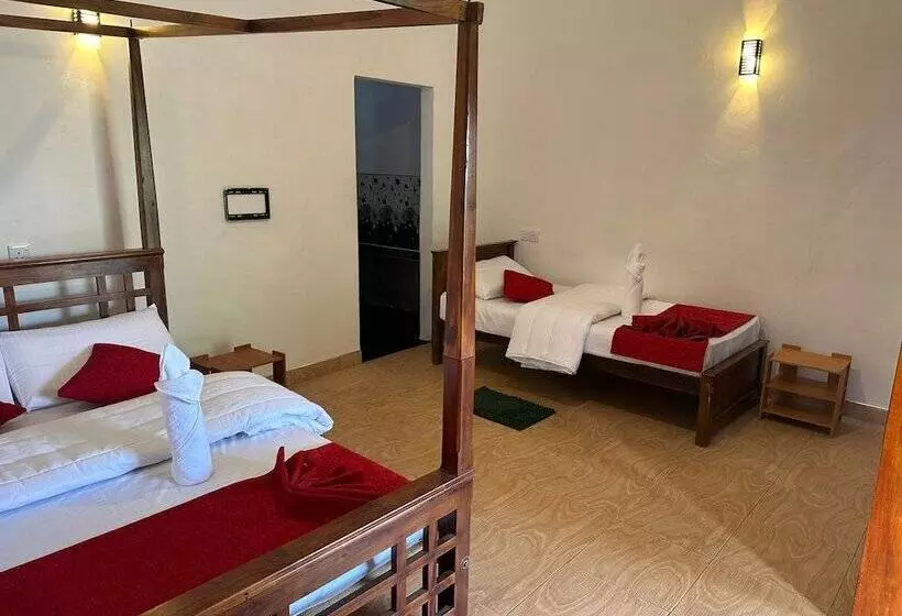T More Hotel & Hostel