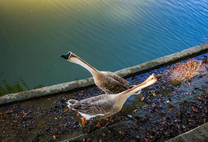 酒店 Fazenda Encanto