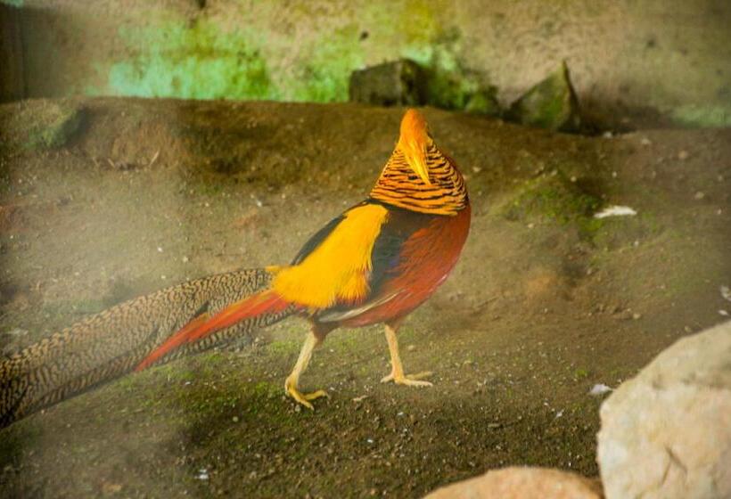 酒店 Fazenda Encanto