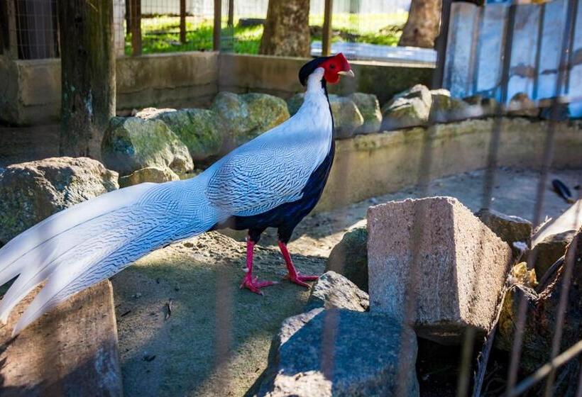 酒店 Fazenda Encanto