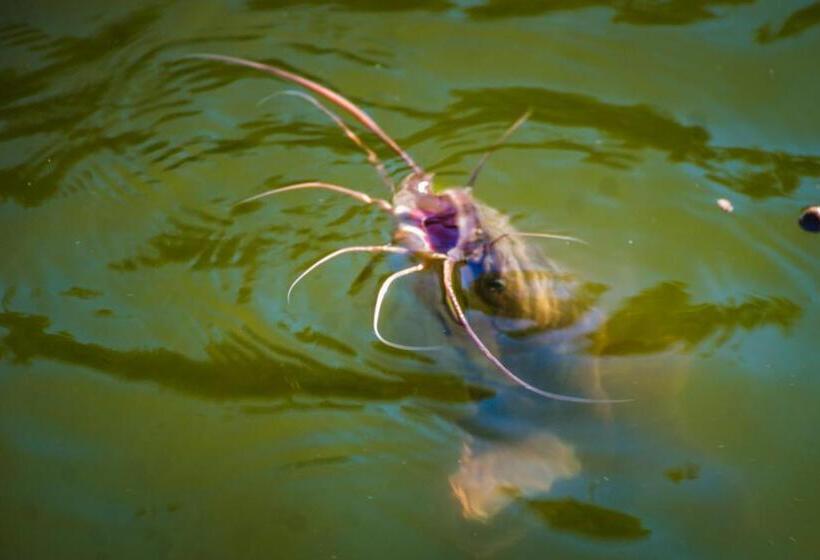 酒店 Fazenda Encanto