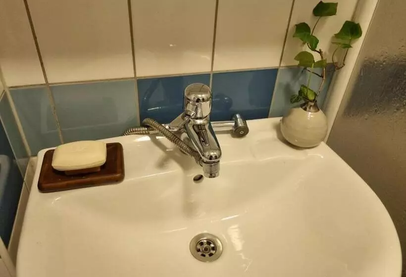 تختخواب و صبحانه Doktor Forselius Gata 16, The Pink Room