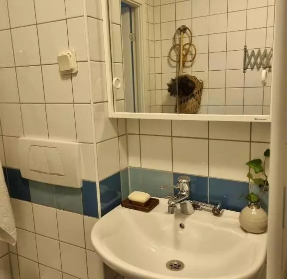 تختخواب و صبحانه Doktor Forselius Gata 16, The Pink Room