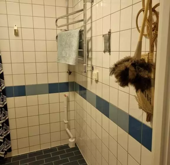 تختخواب و صبحانه Doktor Forselius Gata 16, The Pink Room