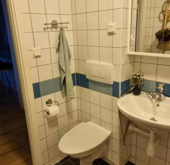 تختخواب و صبحانه Doktor Forselius Gata 16, The Pink Room