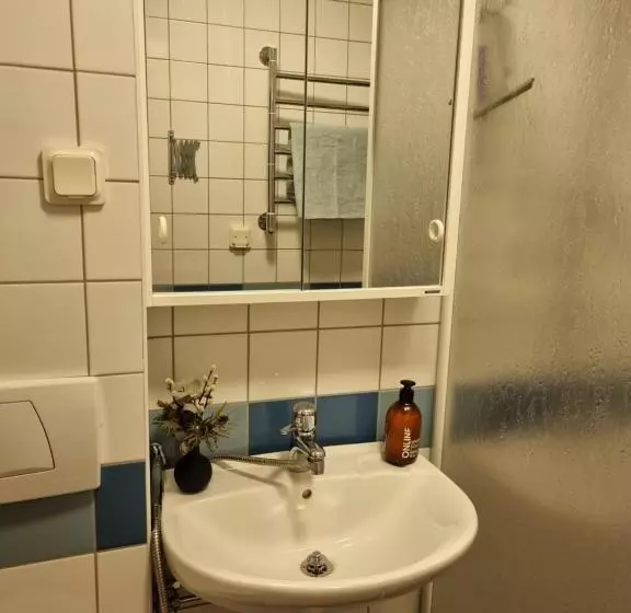 تختخواب و صبحانه Doktor Forselius Gata 16, The Pink Room