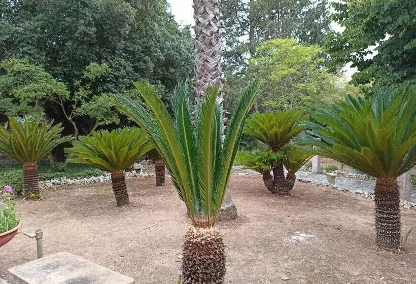 پانسیون La Pineta