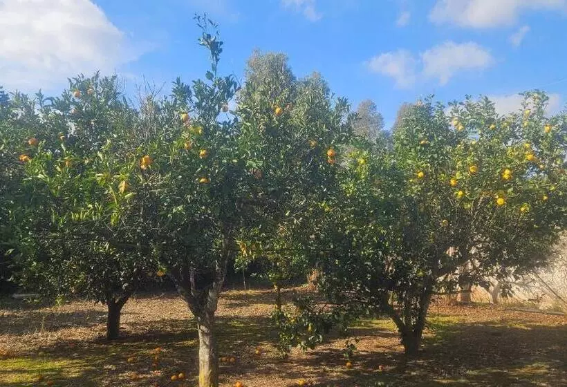 پانسیون La Pineta