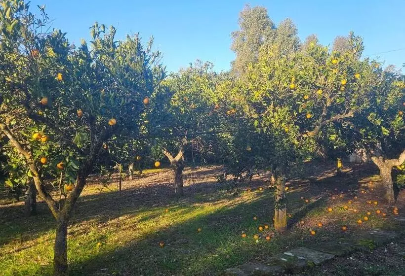 پانسیون La Pineta