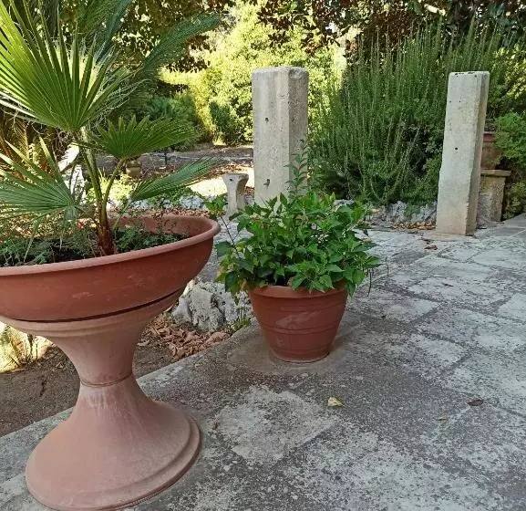 پانسیون La Pineta