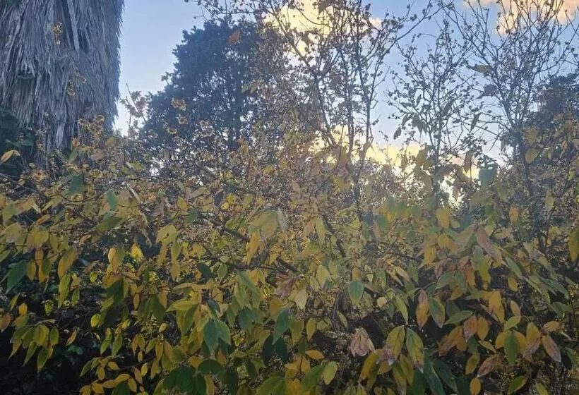 پانسیون La Pineta