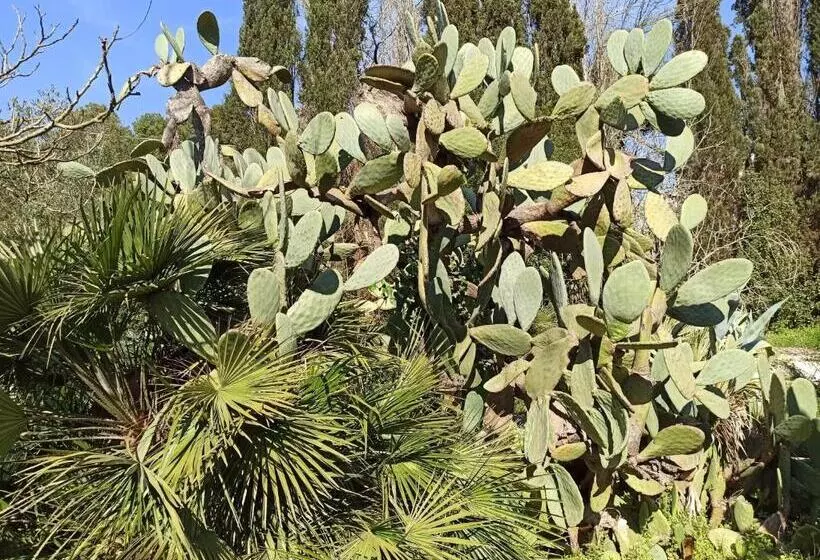 پانسیون La Pineta