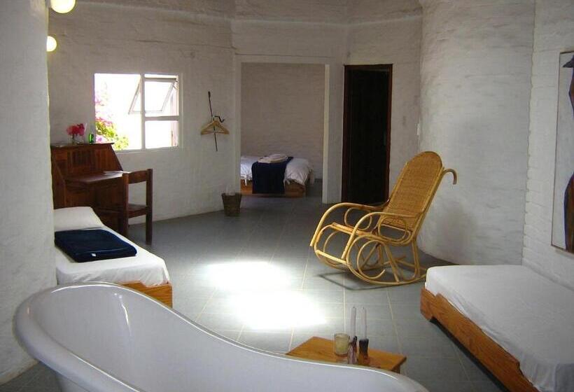 Alternative Space B & B