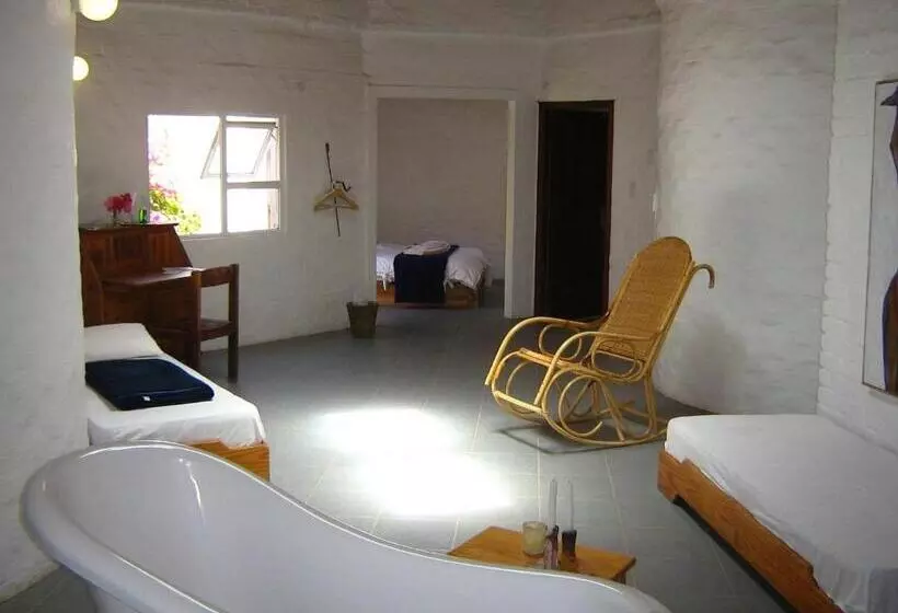 Alternative Space B & B