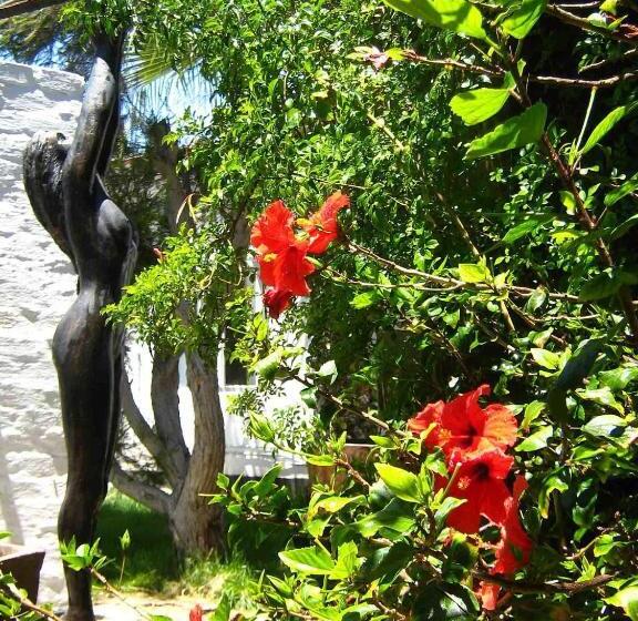 Alternative Space B & B