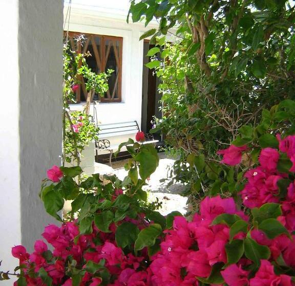 Alternative Space B & B