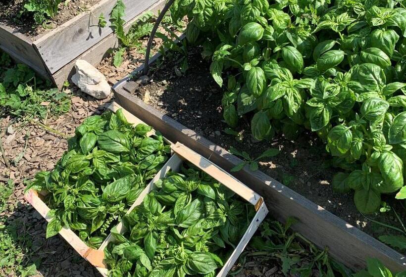 Apparthotel Germania