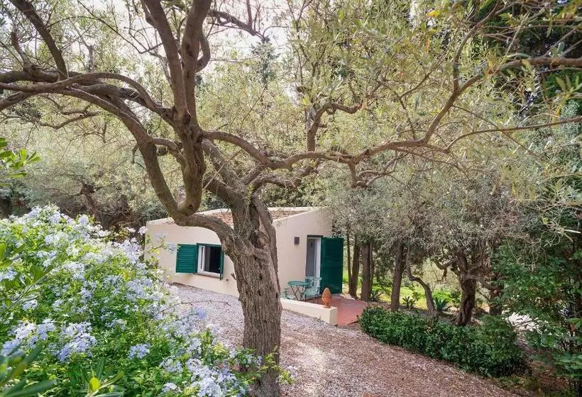 B&b Don Gaspano