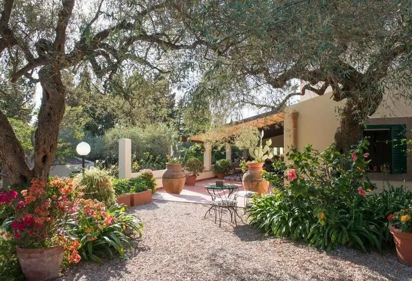 B&b Don Gaspano