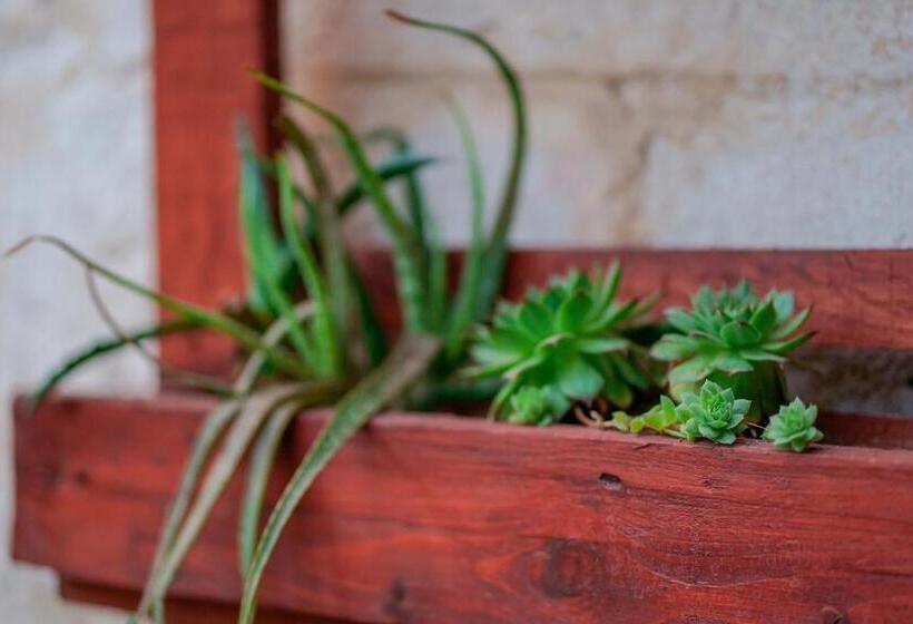 Bed And Breakfast Cairoli Exclusive Room