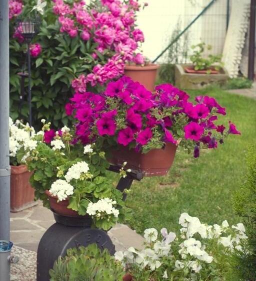 צימר Il Forno Dal 1922