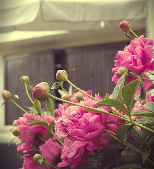 צימר Il Forno Dal 1922