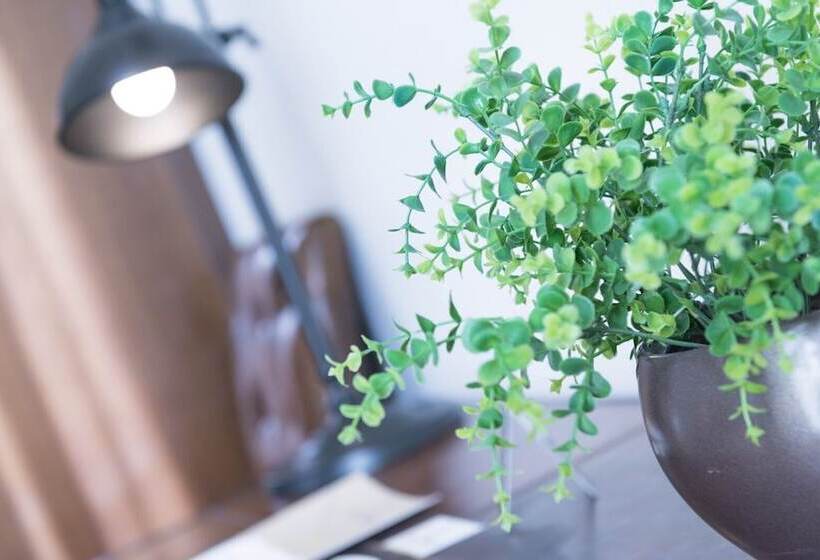 تختخواب و صبحانه La Civetta