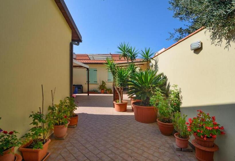 Bed and Breakfast La Papaya