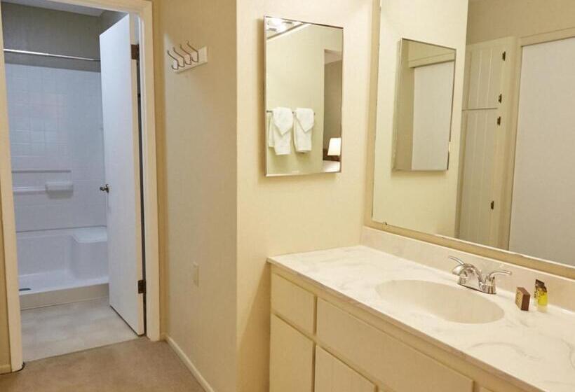 Bed and Breakfast La Papaya