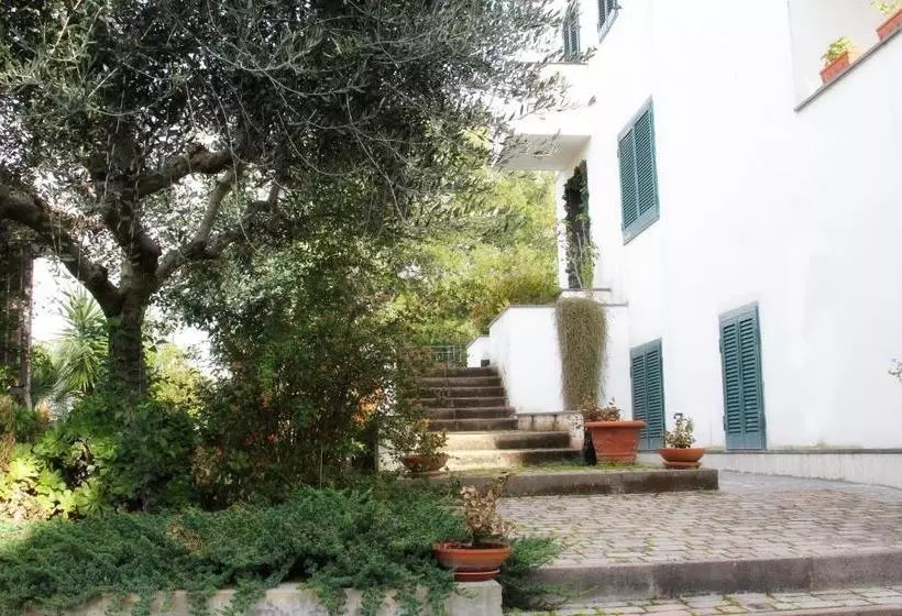 B&b Privileged