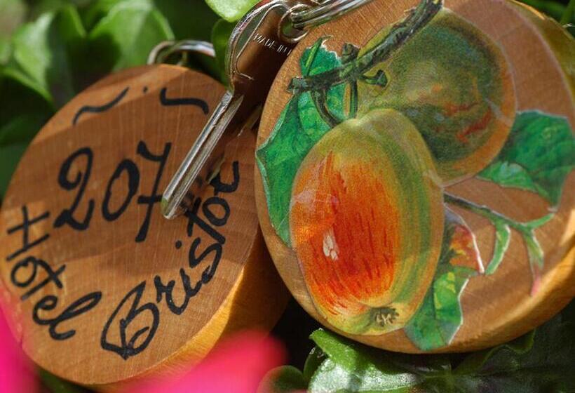 בית מלון כפרי Bristol