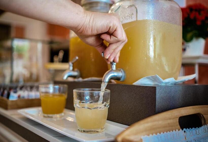 בית מלון כפרי Excelsior