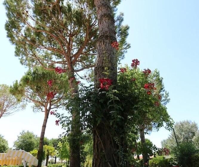 酒店 Hiki 3 Superior