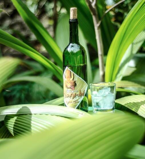 هتل Les Bungalows D Ambonara