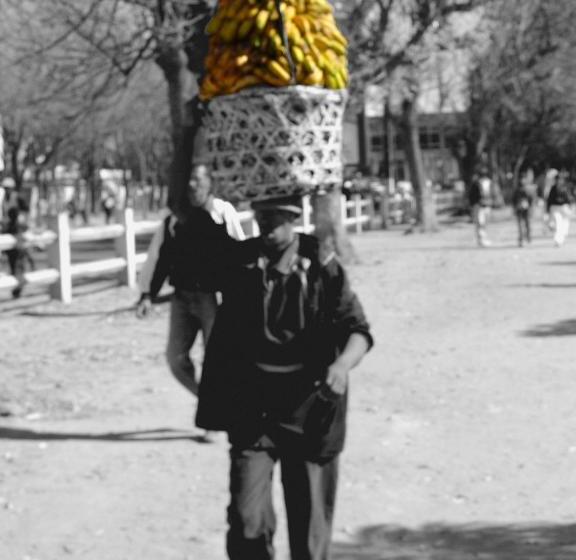 هتل Les Bungalows D Ambonara