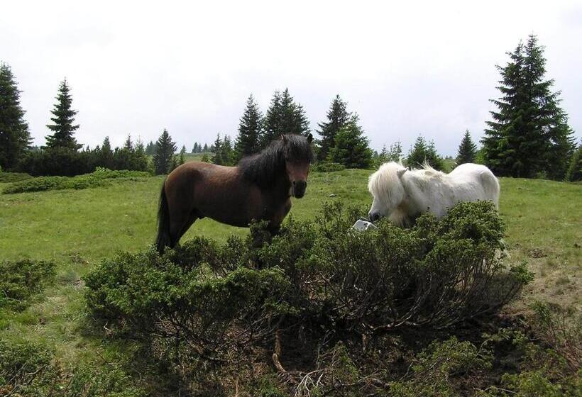 בית מלון כפרי Locanda Alpina