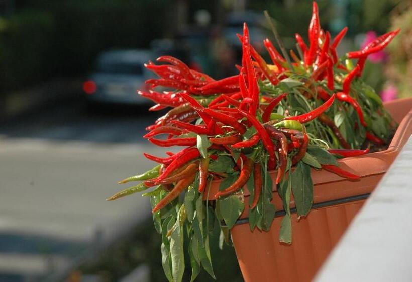 فندق Ristorante La Terrazza